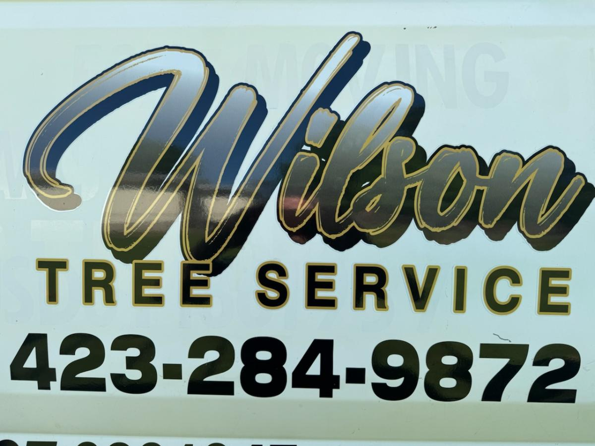 About - Wilson Tree Co. Service