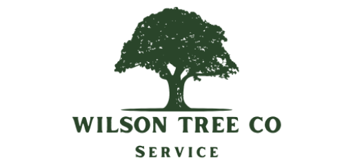 Wilson Tree Co. Service